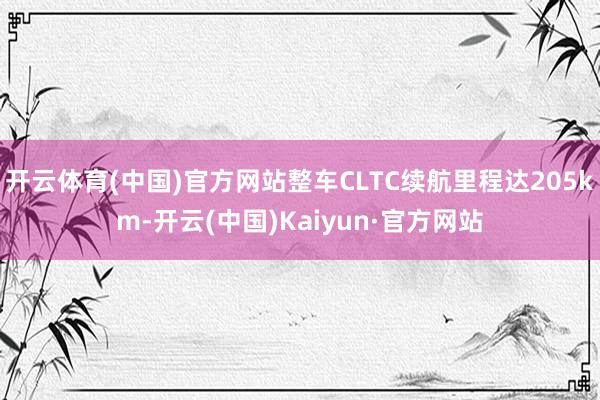 开云体育(中国)官方网站整车CLTC续航里程达205km-开云(中国)Kaiyun·官方网站