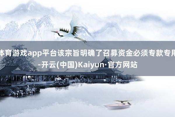 体育游戏app平台该宗旨明确了召募资金必须专款专用-开云(中国)Kaiyun·官方网站