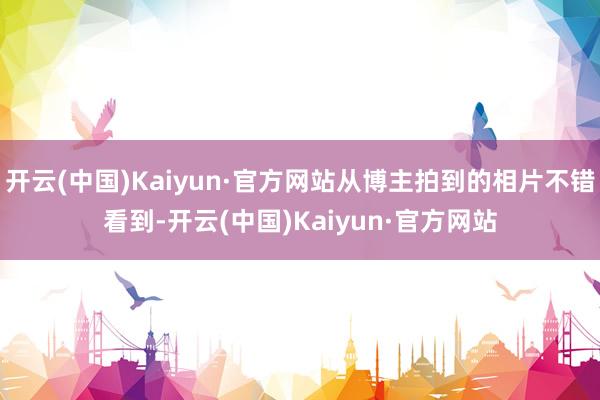 开云(中国)Kaiyun·官方网站从博主拍到的相片不错看到-开云(中国)Kaiyun·官方网站