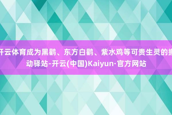 开云体育成为黑鹳、东方白鹳、紫水鸡等可贵生灵的搬动驿站-开云(中国)Kaiyun·官方网站