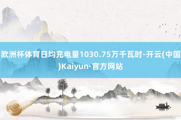 欧洲杯体育日均充电量1030.75万千瓦时-开云(中国)Kaiyun·官方网站