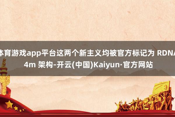 体育游戏app平台这两个新主义均被官方标记为 RDNA 4m 架构-开云(中国)Kaiyun·官方网站