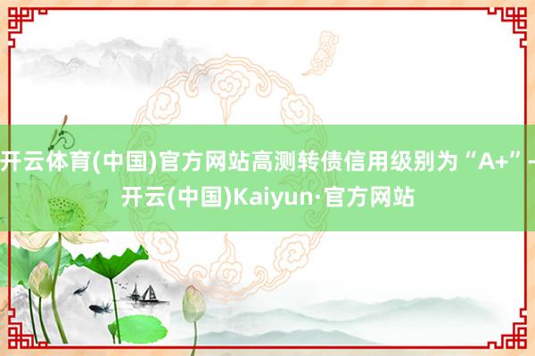开云体育(中国)官方网站高测转债信用级别为“A+”-开云(中国)Kaiyun·官方网站