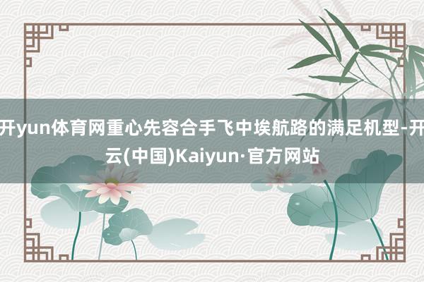 开yun体育网重心先容合手飞中埃航路的满足机型-开云(中国)Kaiyun·官方网站