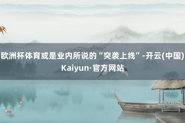 欧洲杯体育或是业内所说的“突袭上线”-开云(中国)Kaiyun·官方网站