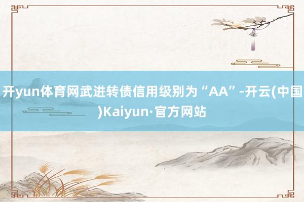 开yun体育网武进转债信用级别为“AA”-开云(中国)Kaiyun·官方网站