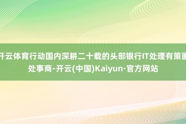开云体育行动国内深耕二十载的头部银行IT处理有策画处事商-开云(中国)Kaiyun·官方网站