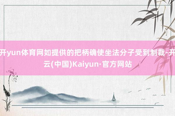 开yun体育网如提供的把柄确使坐法分子受到制裁-开云(中国)Kaiyun·官方网站